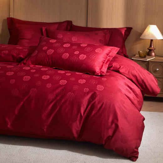 自然醒60支全棉立体亮面提花四件套HS 商品图5