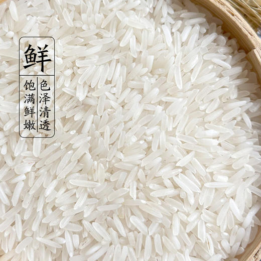 【严选】湖北监利名宇江汉大米高端香米 （原粮鄂香2号）5kg/袋（厂家直发） 商品图2