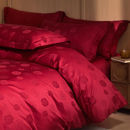 自然醒60支全棉立体亮面提花四件套HS 商品图7