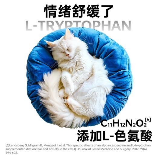 澳龙泌尿处方粮全价猫粮养护泌尿舒缓情绪助缓尿闭尿结石成幼猫 商品图3