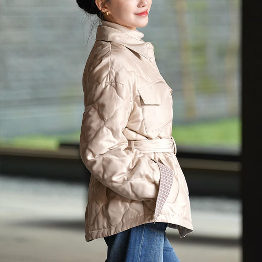 【特价不退不换】【预售7天】良木礼翻领鹅绒服（D2593888F） 商品图1