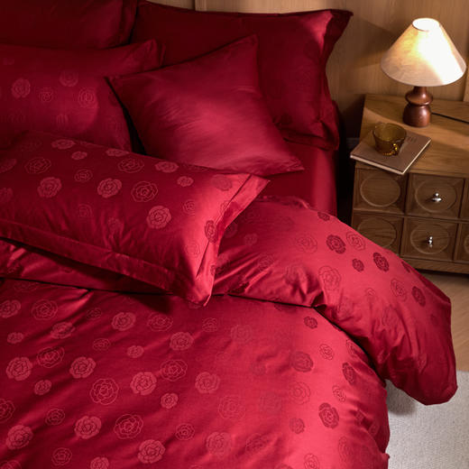 自然醒60支全棉立体亮面提花四件套HS 商品图8