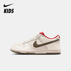 Nike Dunk Low 马年限定脱缰系列新年款大童运动鞋 IQ9793