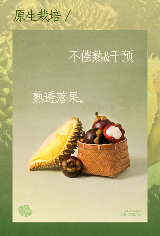 GH 来发记猫山王榴莲雪糕马来西亚冰淇淋进口高含量果肉冰激凌9支装 商品图2