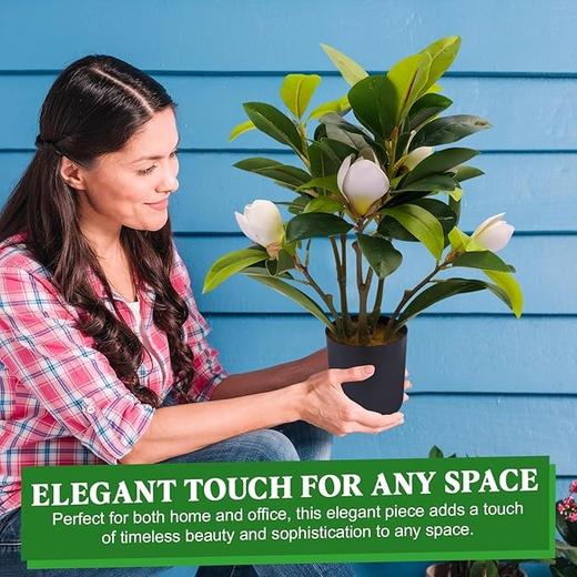 美国 LIVN GREEN 小型仿生植物装饰 优雅摆件 高40cm 商品图6