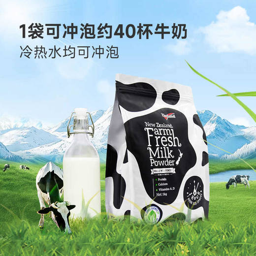 纽仕兰全脂鲜奶粉1000g/025771 犹如喝鲜奶 商品图2