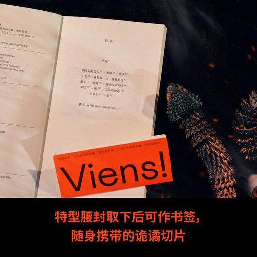 恐慌集  写后即焚的孤独女作家，仅存一部的神秘故事 （法）芭芭拉·莫利纳尔集 商品图3