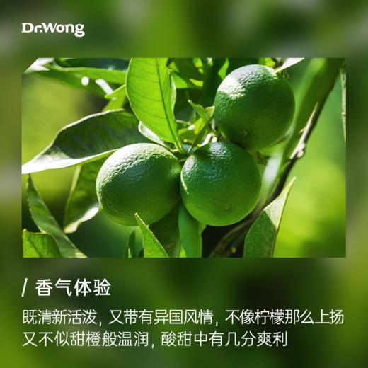 莱姆香薰精油5ml 商品图1