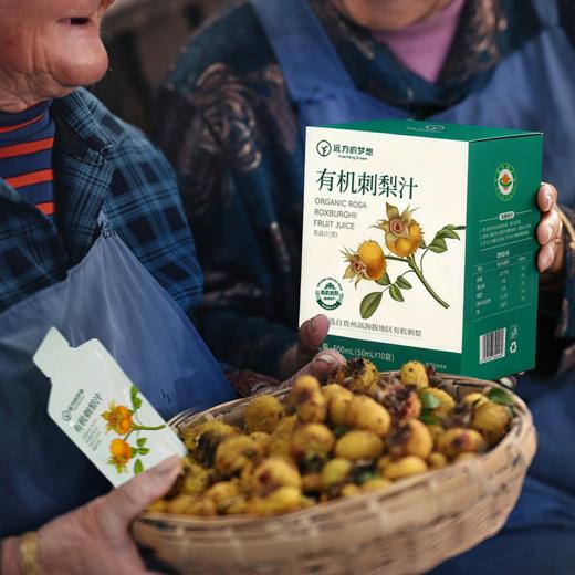 有机刺梨原液(50ml*10袋)/盒 商品图2