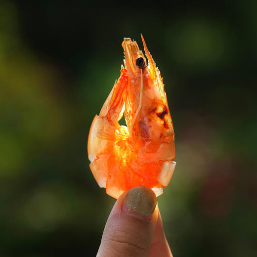 有机烤虾300g/盒*3  付款后24小时内产地直发全国配送（偏远地区除外） 商品图7