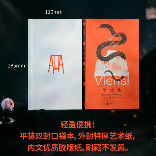 恐慌集  写后即焚的孤独女作家，仅存一部的神秘故事 （法）芭芭拉·莫利纳尔集 商品图2