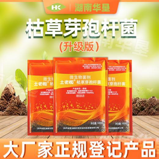 土老板枯草芽孢杆菌农用种植肥料预防根腐黑腐茎腐病绿色有机养花1000克/包 商品图3