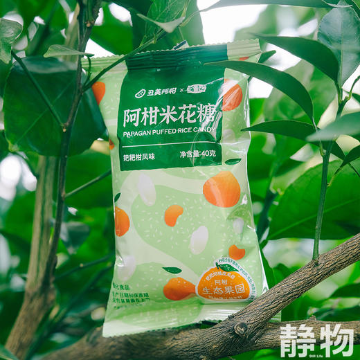 阿柑米花糖40g｜丑美阿柑 商品图2