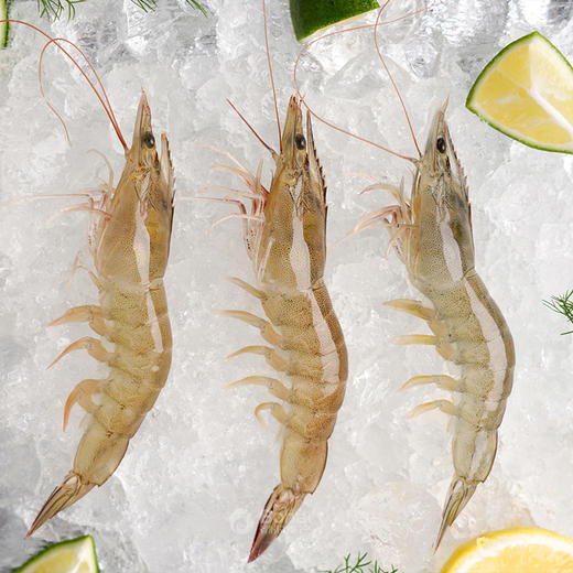 有机带头生虾  400g/盒*3盒 付款后24小时内产地直发全国配送（偏远地区除外） 商品图3
