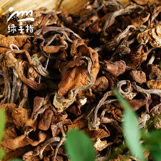 野生榛蘑干| 合作生产*Wild hazelnut mushrooms dried|Partner Production 商品图4