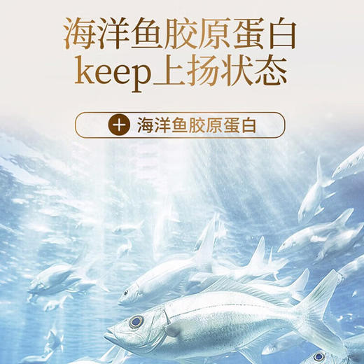 同仁堂白燕丝胶原蛋白冰糖燕窝700g 商品图5