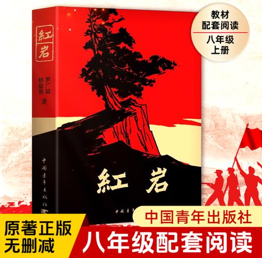 红岩 商品图0