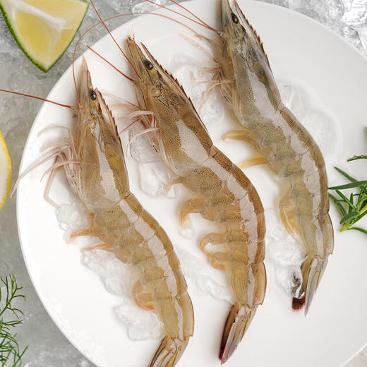 有机带头生虾  400g/盒*3盒 付款后24小时内产地直发全国配送（偏远地区除外） 商品图9