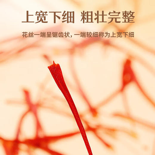 同仁堂藏红花6g 商品图3