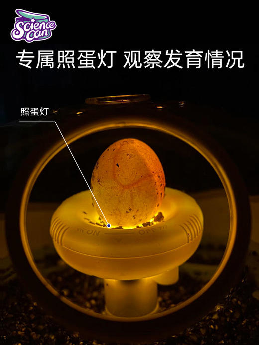 W-KXGT-科学罐头-乌龟专用缸孵化成长舱 商品图3