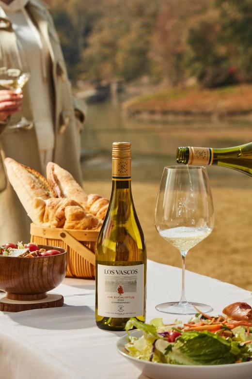 (测试勿拍)拉菲罗斯柴尔德巴斯克有格干白霞多丽葡萄酒智利原瓶进口2023年份 商品图2