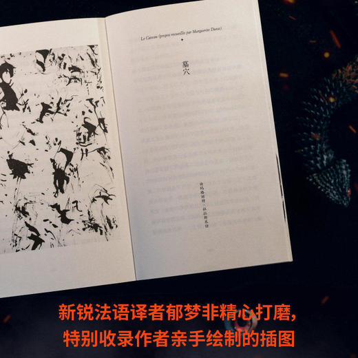 恐慌集  写后即焚的孤独女作家，仅存一部的神秘故事 （法）芭芭拉·莫利纳尔集 商品图4