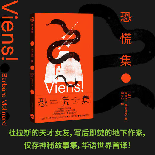 恐慌集  写后即焚的孤独女作家，仅存一部的神秘故事 （法）芭芭拉·莫利纳尔集 商品图0