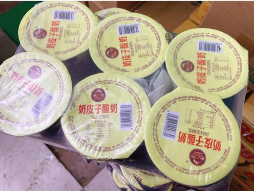 圣祥奶皮子酸奶一箱 商品图1