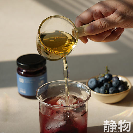 蓝莓酱100g 商品图3