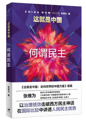 这就是中国：何谓民主