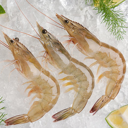 有机带头生虾  400g/盒*3盒 付款后24小时内产地直发全国配送（偏远地区除外） 商品图8