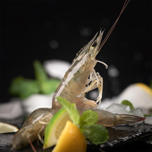 有机带头生虾  400g/盒*3盒 付款后24小时内产地直发全国配送（偏远地区除外） 商品图6