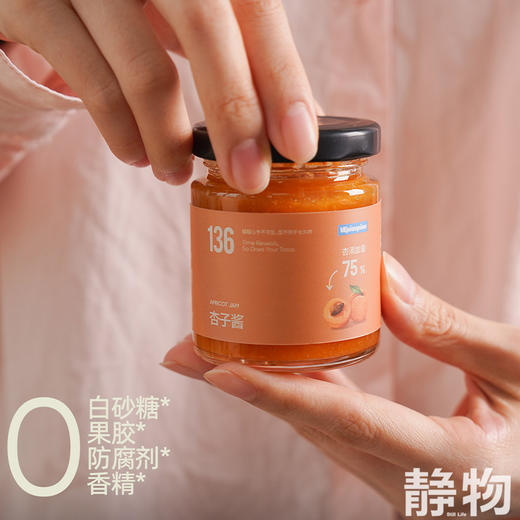 杏子酱110g 商品图6