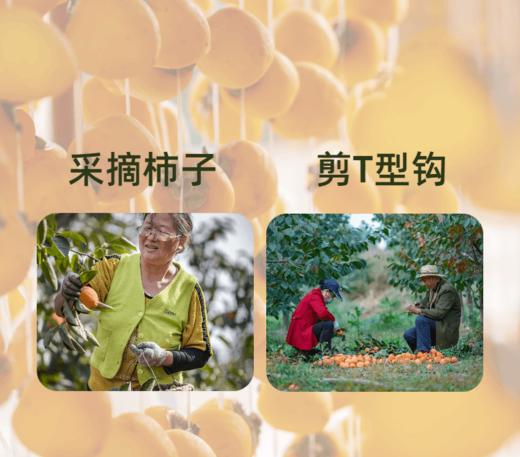 正宗富平柿饼 商品图3