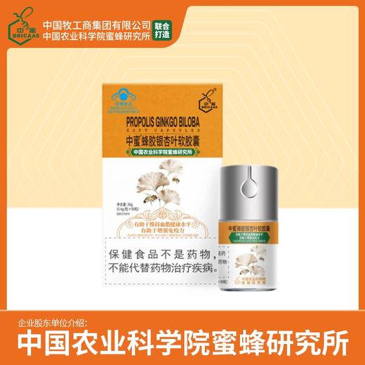 中蜜蜂胶银杏叶软胶囊90粒(自营) 商品图1