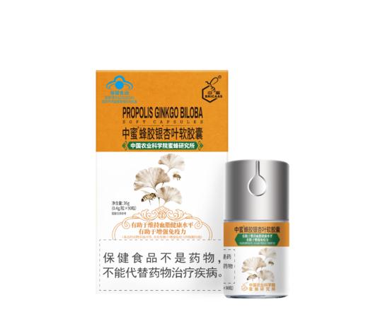 中蜜蜂胶银杏叶软胶囊90粒(自营) 商品图2