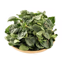 趴地菠菜 约250g-300g/份 买放心菜就上瑞和泰