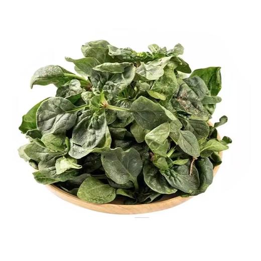 趴地菠菜 约250g-300g/份 买放心菜就上瑞和泰 商品图0