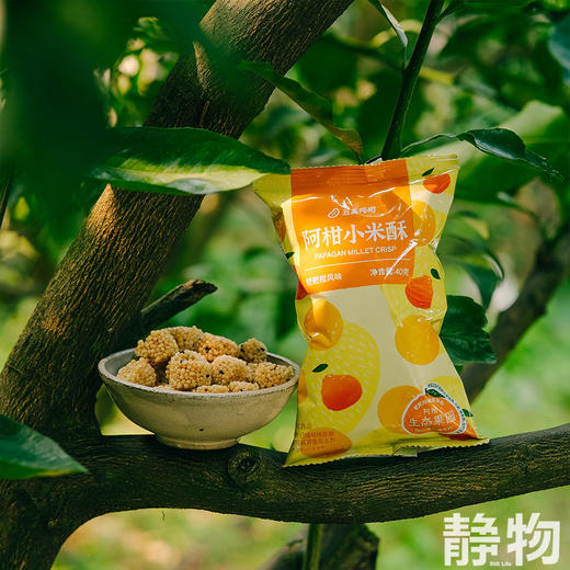 阿柑小米酥40g｜丑美阿柑 商品图1