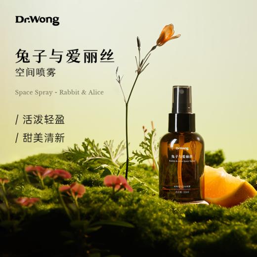 「兔子与爱丽丝」喷雾55ml 商品图0