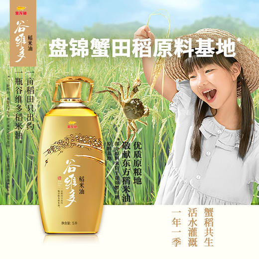金龙鱼谷维多特级稻米油5L*1瓶 商品图2