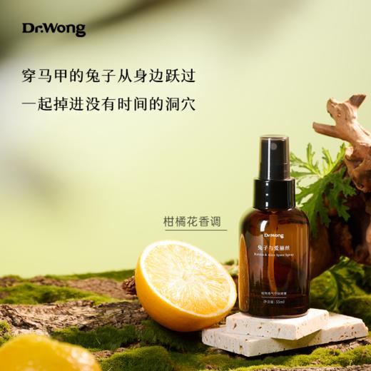 「兔子与爱丽丝」喷雾55ml 商品图3