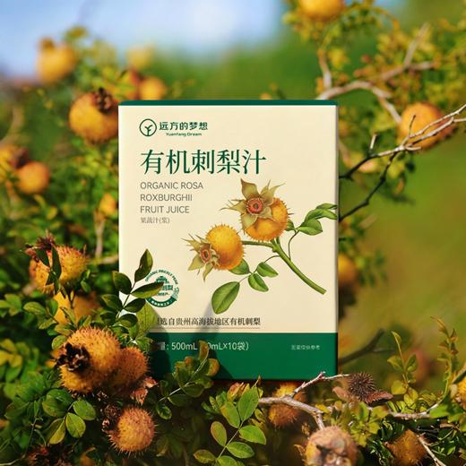 有机刺梨原液(50ml*10袋)/盒 商品图3
