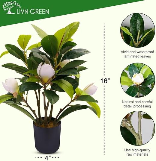 美国 LIVN GREEN 小型仿生植物装饰 优雅摆件 高40cm 商品图1