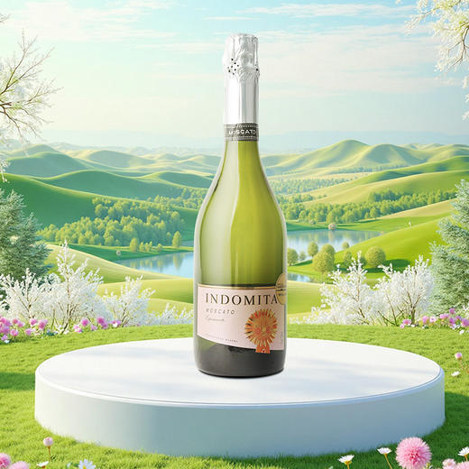 智利原瓶进口魔狮王子精酿香槟/起泡葡萄酒 商品图1