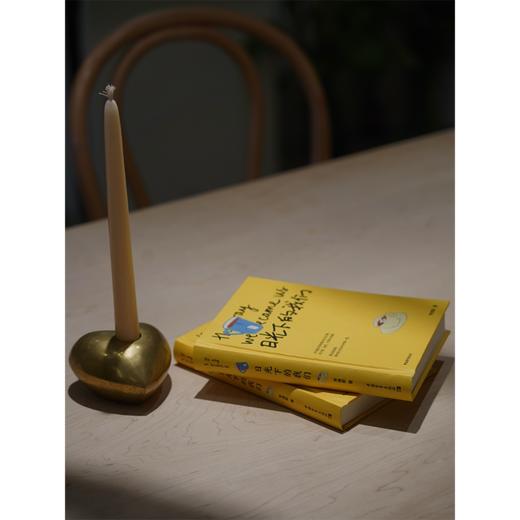 日光下的我们 李维斯 著 中国青年出版社 商品图4