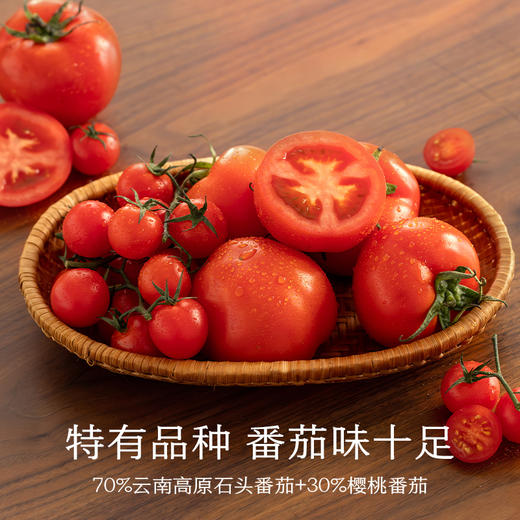 南食召 梅纳式番茄酱 商品图2