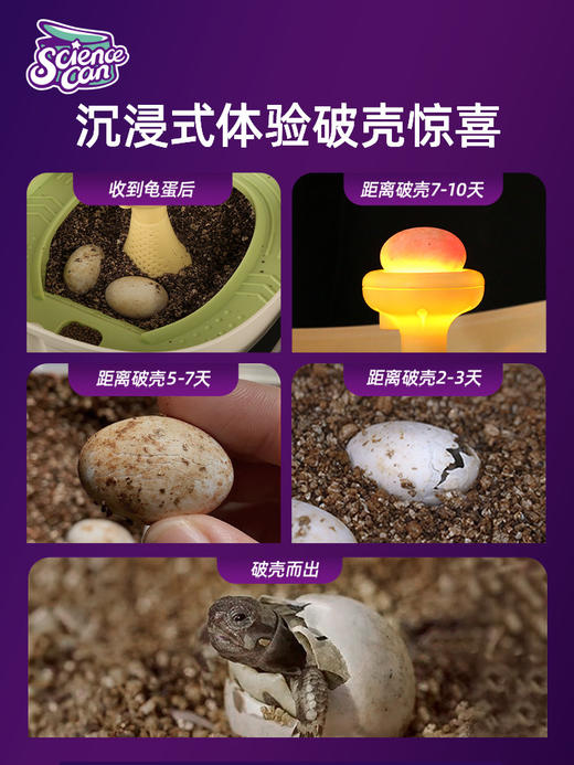 W-KXGT-科学罐头-乌龟专用缸孵化成长舱 商品图4