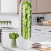 亚马逊 冰箱蔬菜储存器 延长新鲜度 可保存2-3周 商品缩略图0