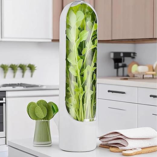 亚马逊 冰箱蔬菜储存器 延长新鲜度 可保存2-3周 商品图0